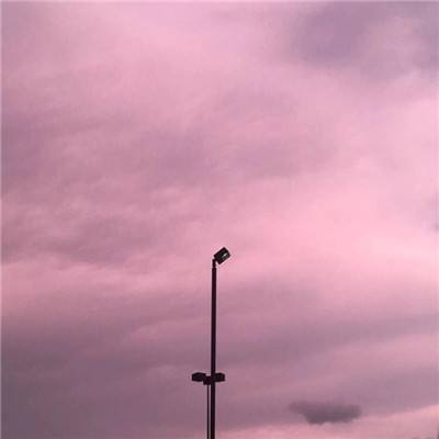 leyu乐鱼·体育app下载