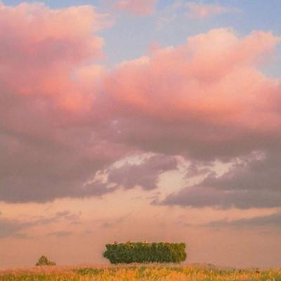 B体育app客户端下载