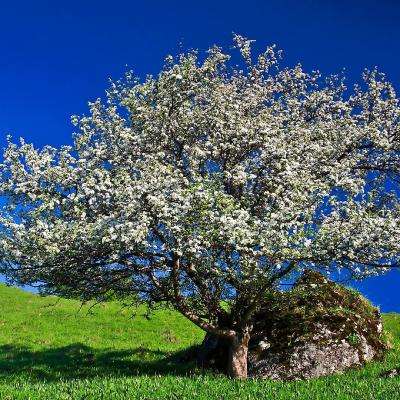 江南体育app下载手机app下载